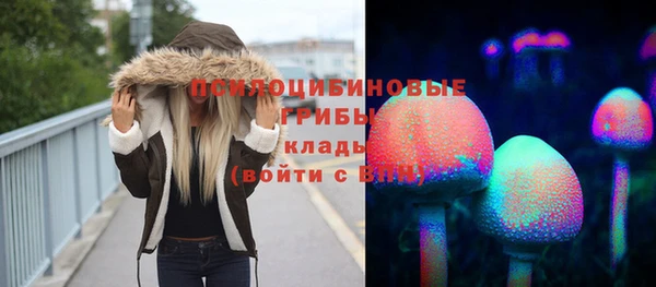 apvp Алзамай