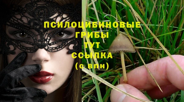 apvp Алзамай