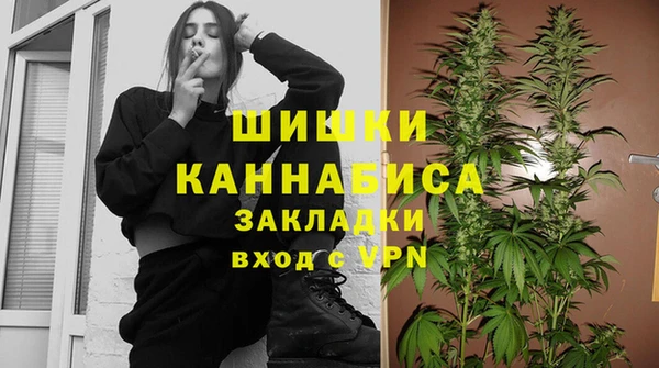 apvp Алзамай
