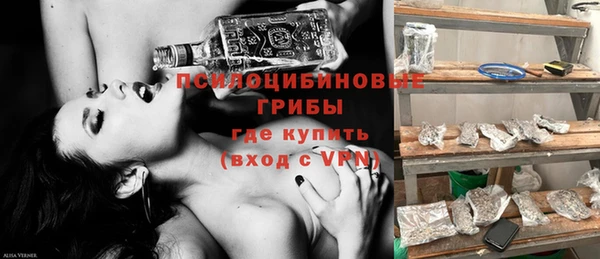 apvp Алзамай