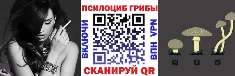 Псилоцибиновые грибы мицелий  как найти закладки  гидра онион  Покров 
